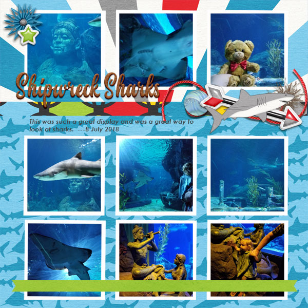 Shipwreck Sharks  12/13