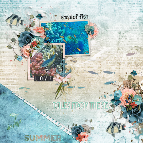 shoal of fish