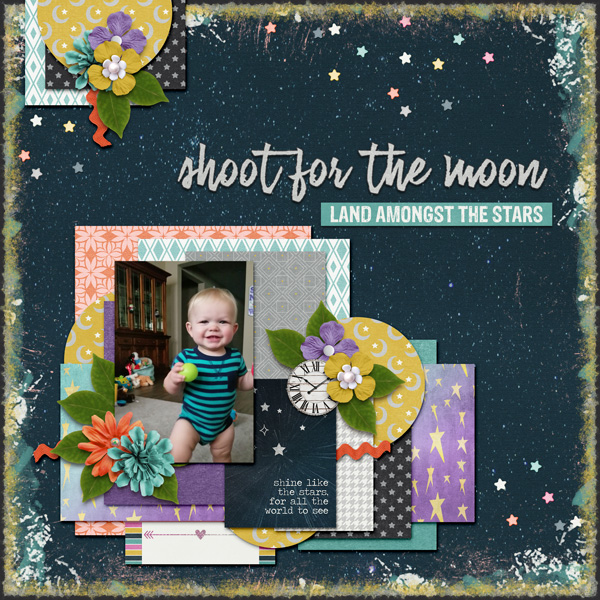 Shoot For The Moon