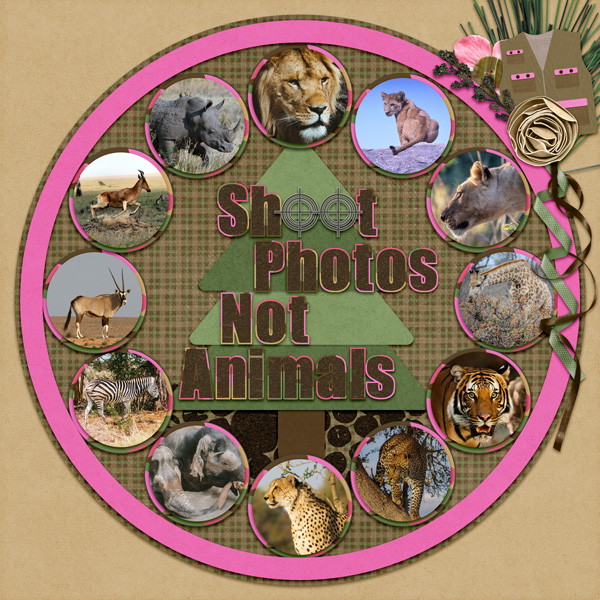 Shoot Photos