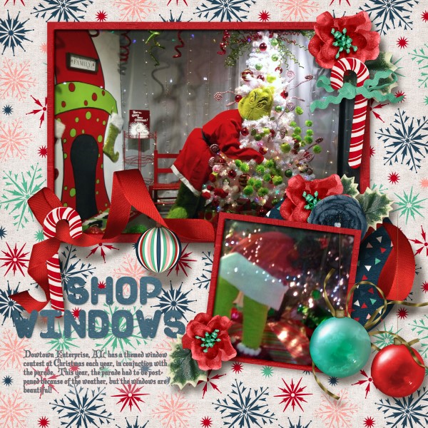 Shop Windows
