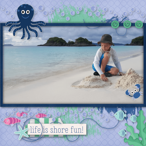 Shore Life