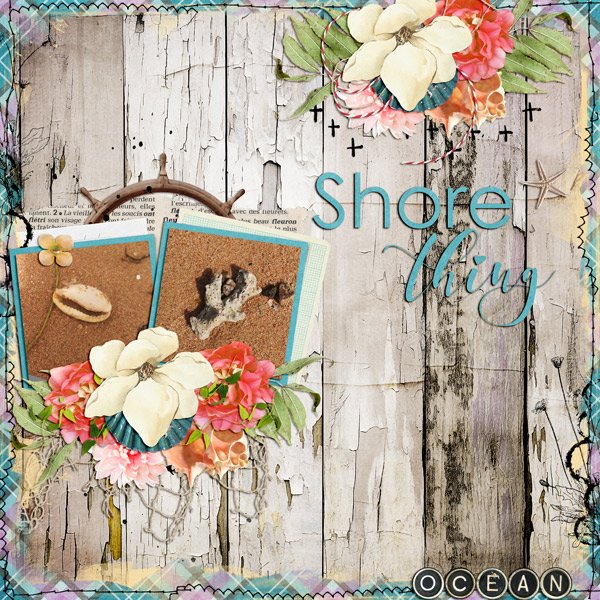 shore thing