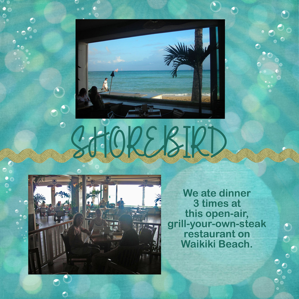 Shorebird 2008
