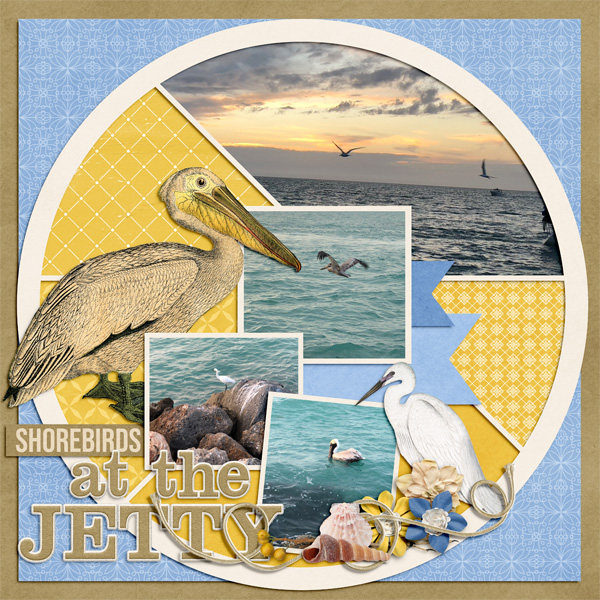 Shorebirds At The Jetty