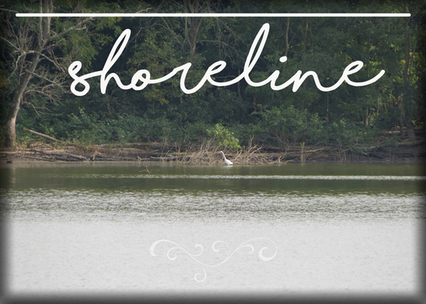 shoreline