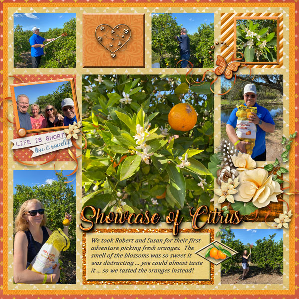 Showcase of Citrus