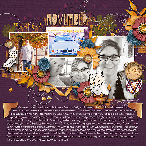Showlow November