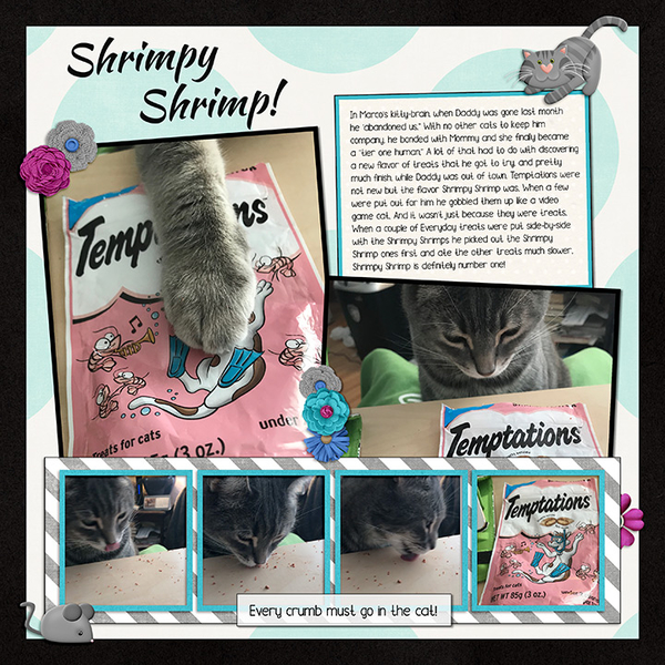 Shrimpy Shrimp