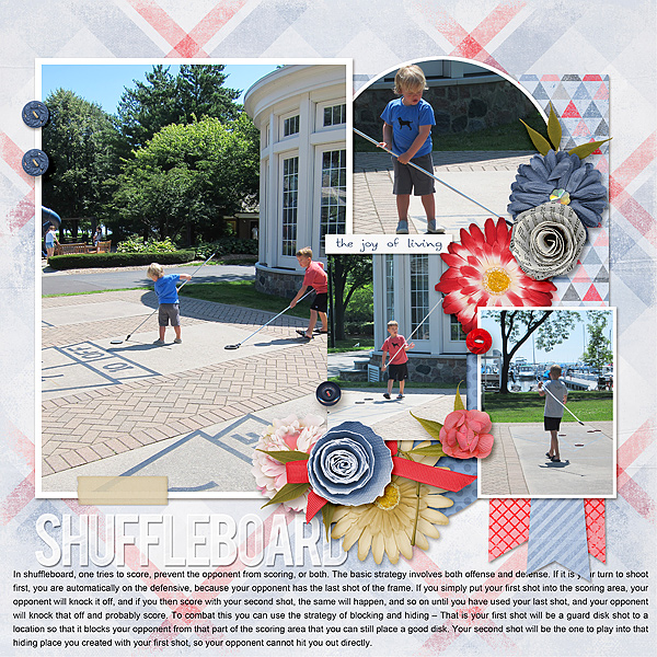 Shuffleboard 2017
