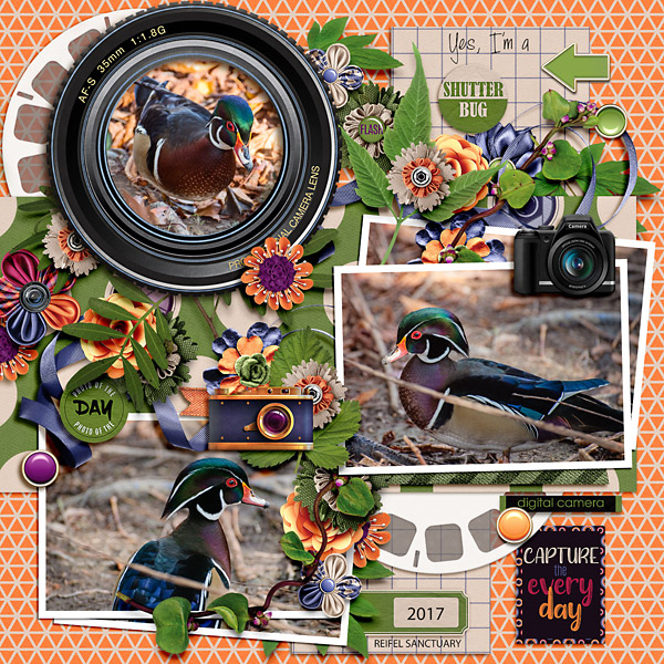 Shutterbug