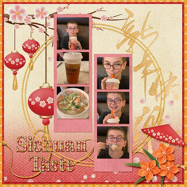 Sichuan Taste 19