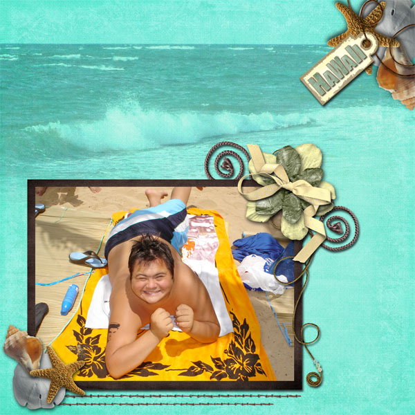 Sid in Hawaii