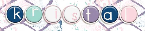 siggie INSD 2018
