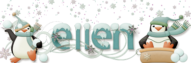 Siggie Jan 2019