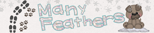 Siggy Challenge 2018-01