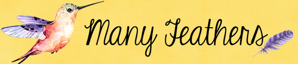Siggy Challenge April