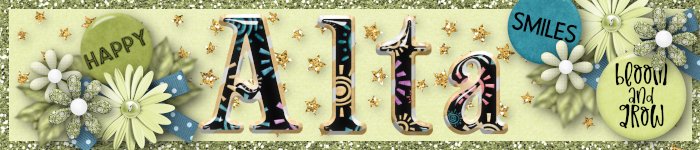 Siggy Challenge June2025