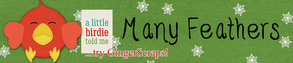 Siggy Challenge