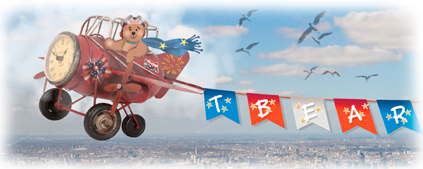 Siggy Flying High
