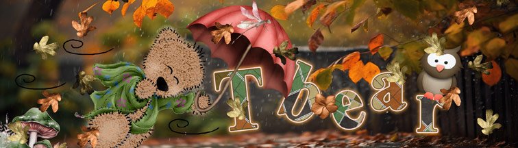 Siggy-November-in-the-Woods.jpg
