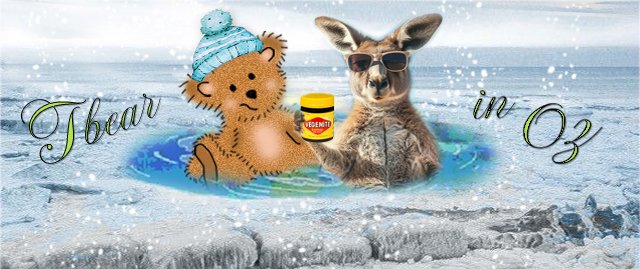 Siggy-Tbear-in-OZ.jpg