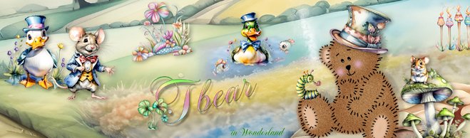 Siggy-Tbear-in-Wonderland.jpg