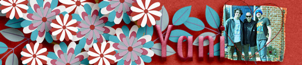 siggy022025