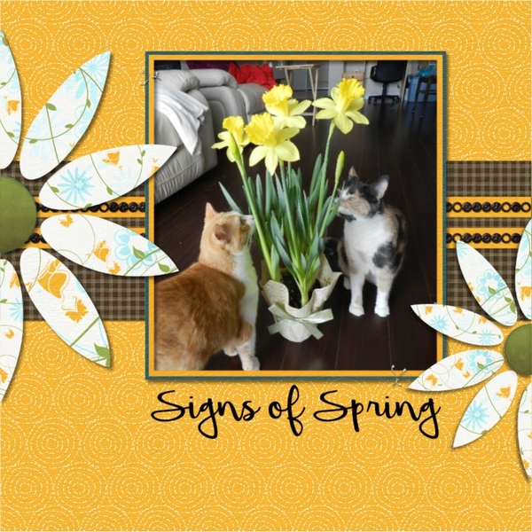 Sign of Spring