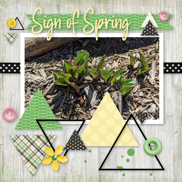 sign of spring