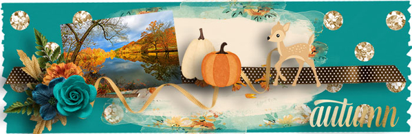 sign_nov