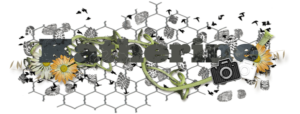 signature_small