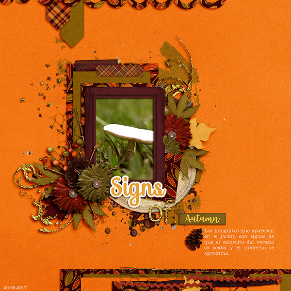 signs of autumn