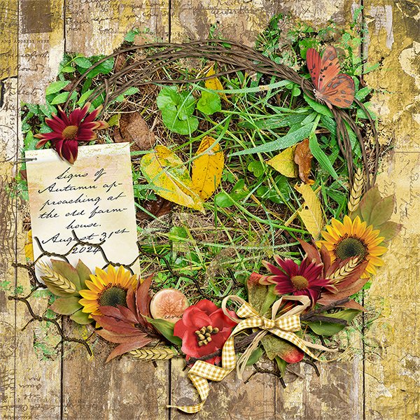 Signs of Autumn