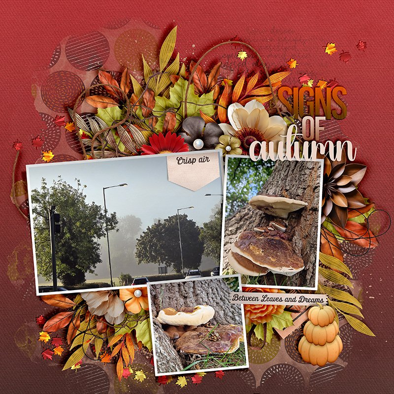 Signs of autumn