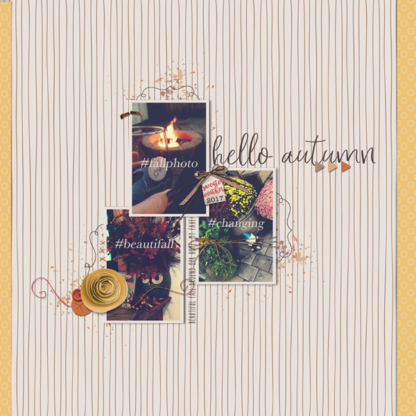 Signs of Fall | September 2017
