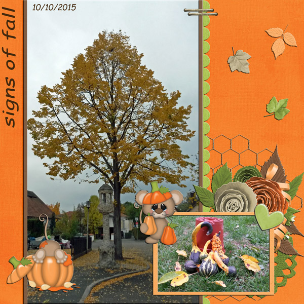 signs of fall