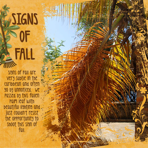 Signs of Fall