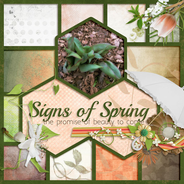 Signs Of Spring