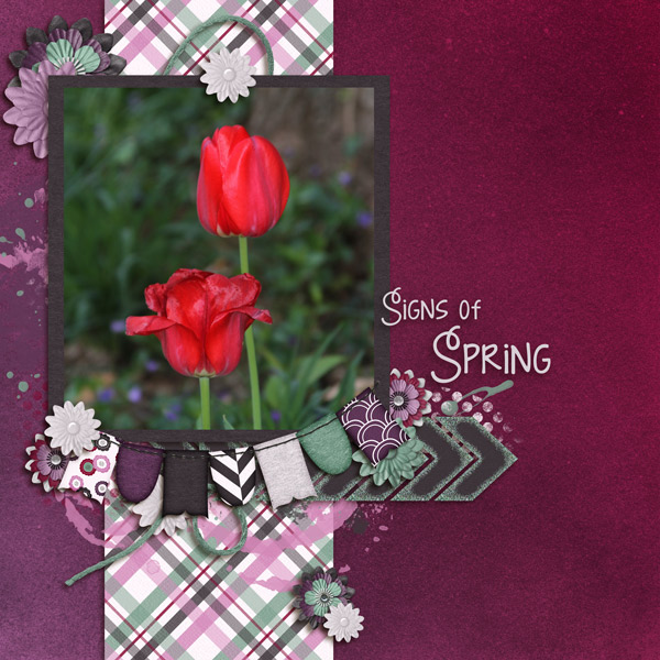 Signs of Spring