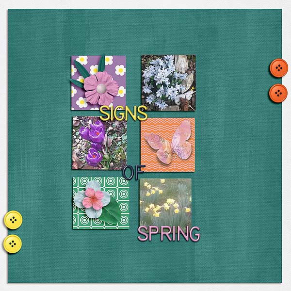 Signs Of Spring