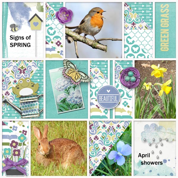 Signs of Spring