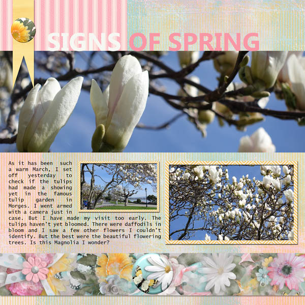 Signs of Spring