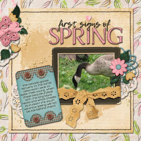 Signs of Spring