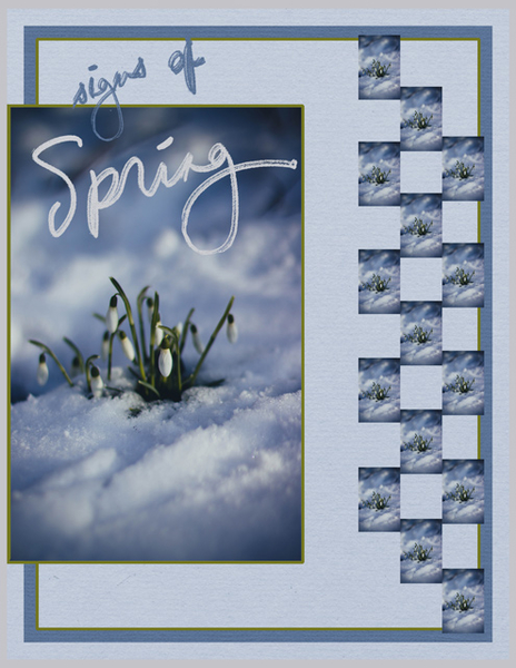 signs of Spring