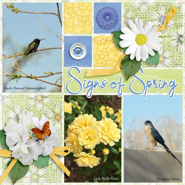 Signs of Spring