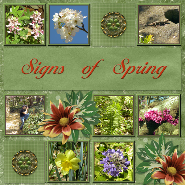 Signs of Spring