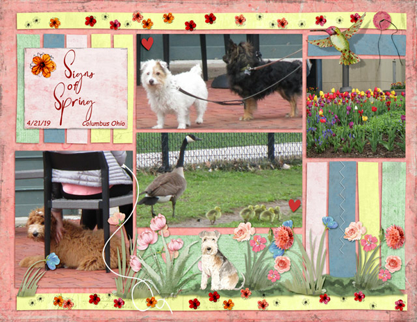 Signs of Spring