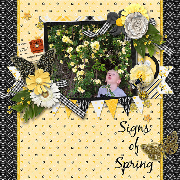 Signs of Spring