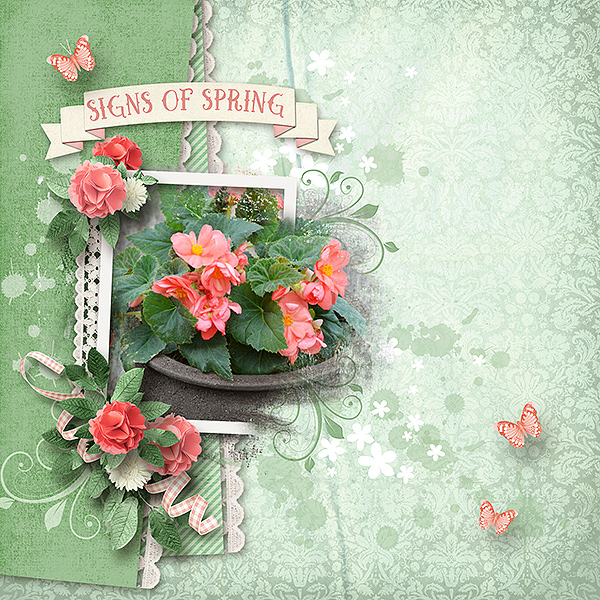 Signs of SPring